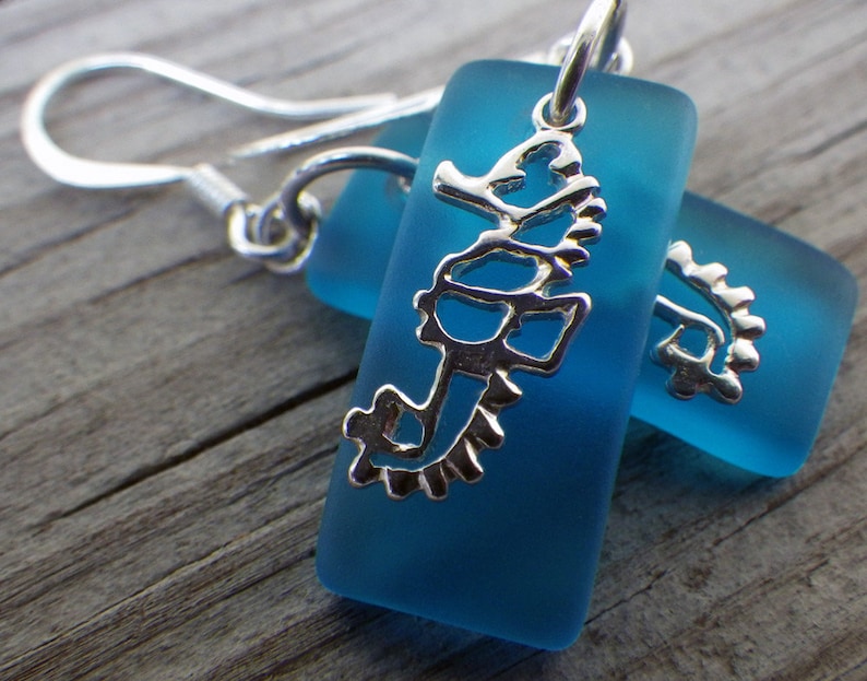 May include: A pair of blue glass earrings with silver seahorse charms. The earrings are teardrop shaped and have a frosted finish.