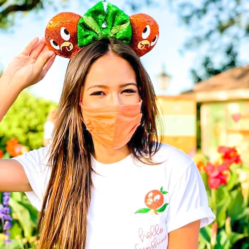 Orange Bird Minnie Ears Orange Bird Mickey Ears Florida Etsy