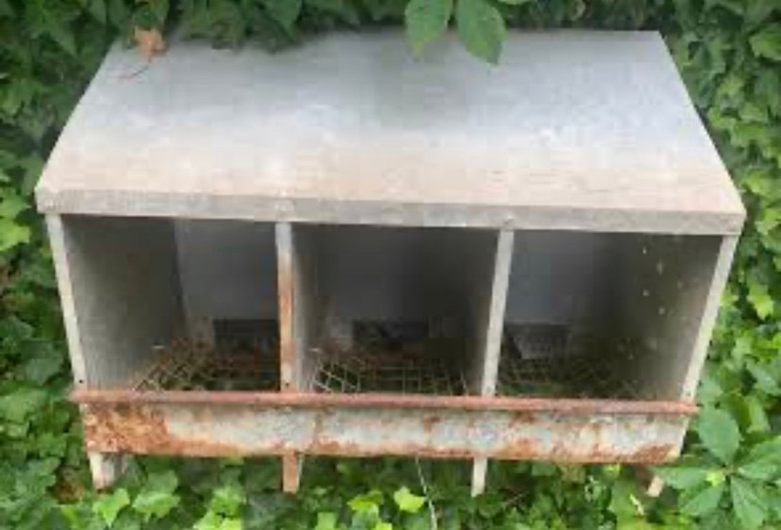 Galvanized Chicken Coop 3 Hole Nesting Box From A Farm In Etsy