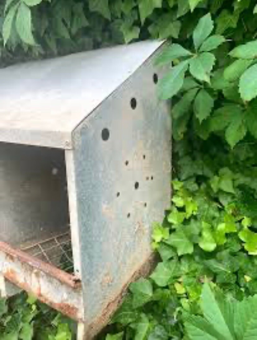 Galvanized Chicken Coop 3 Hole Nesting Box From A Farm In Etsy