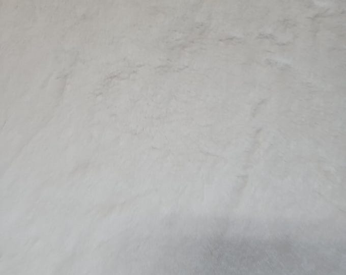 Shannon Fabrics by the yard Snow Cuddle Seal
