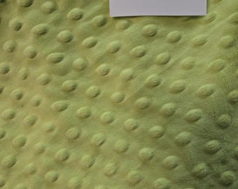 Shannon Fabrics Apple Green by the yard