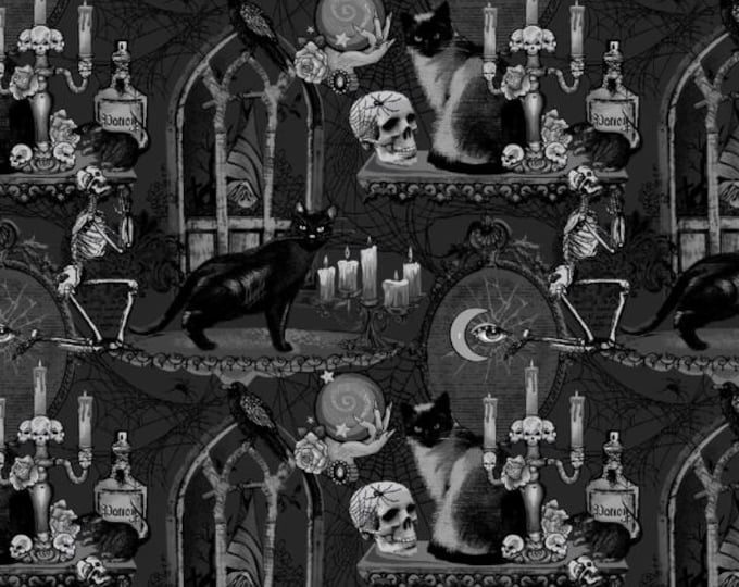Spell on you Freckle and Lollie Cats Back Cats Halloween  Fabric 100% Cotton