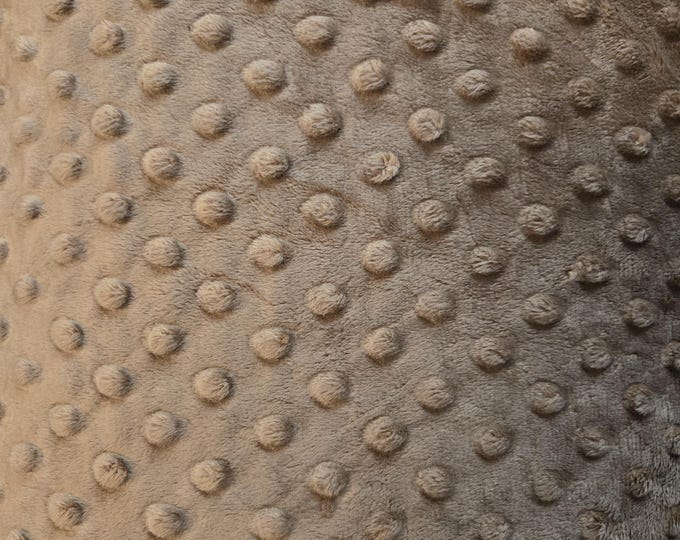 Shannon Fabrics Mocha by the yard