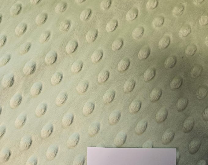 Shannon Fabrics Sage by the yard