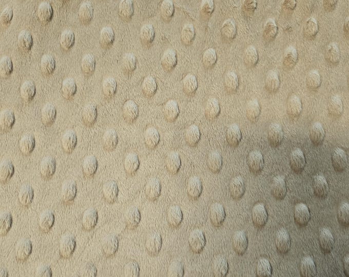 Shannon Fabrics Honey by the yard