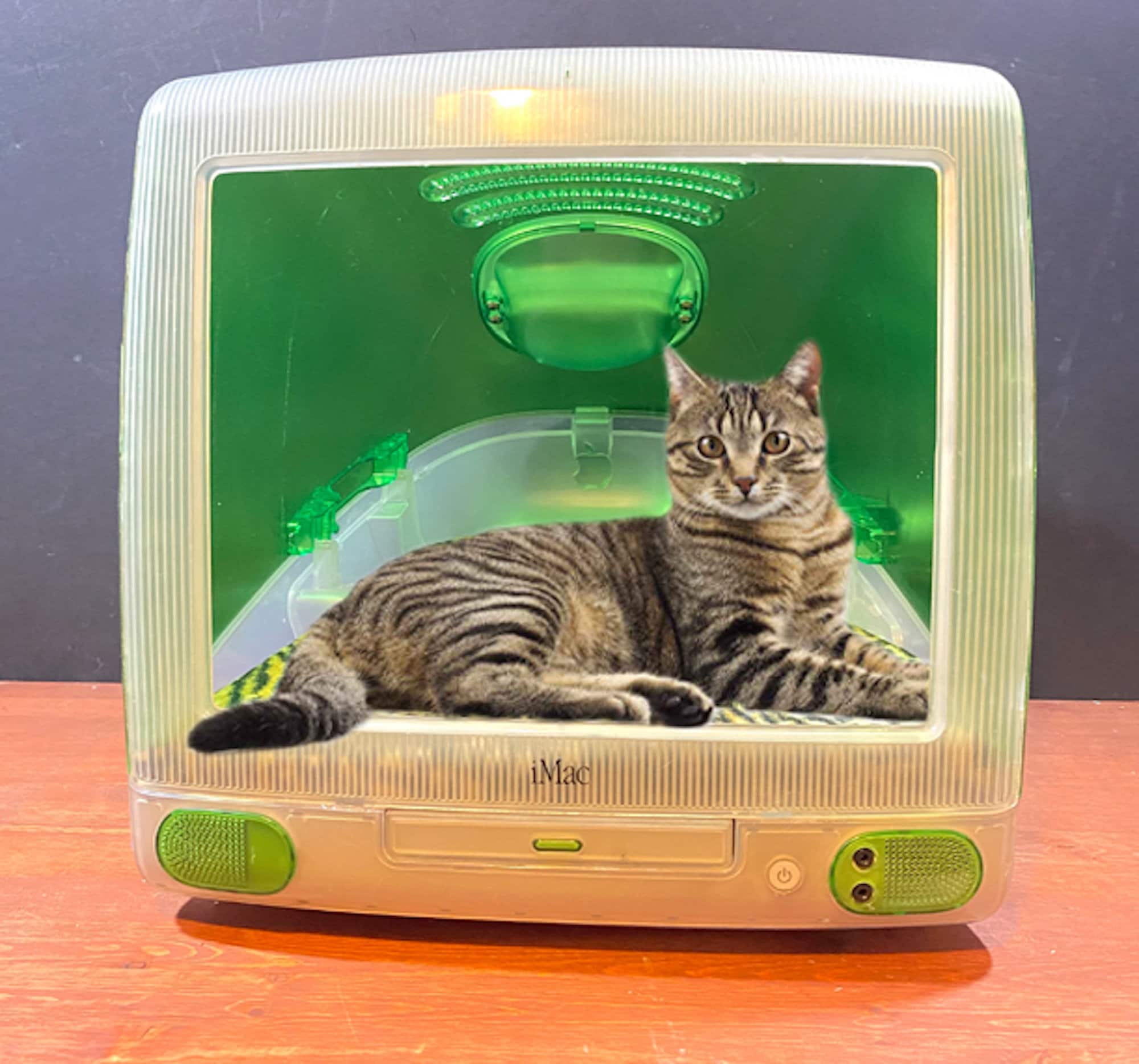 Cat Bed Imac Cat House Green Kitty Lounge Cat Cave Pet Furniture Etsy India