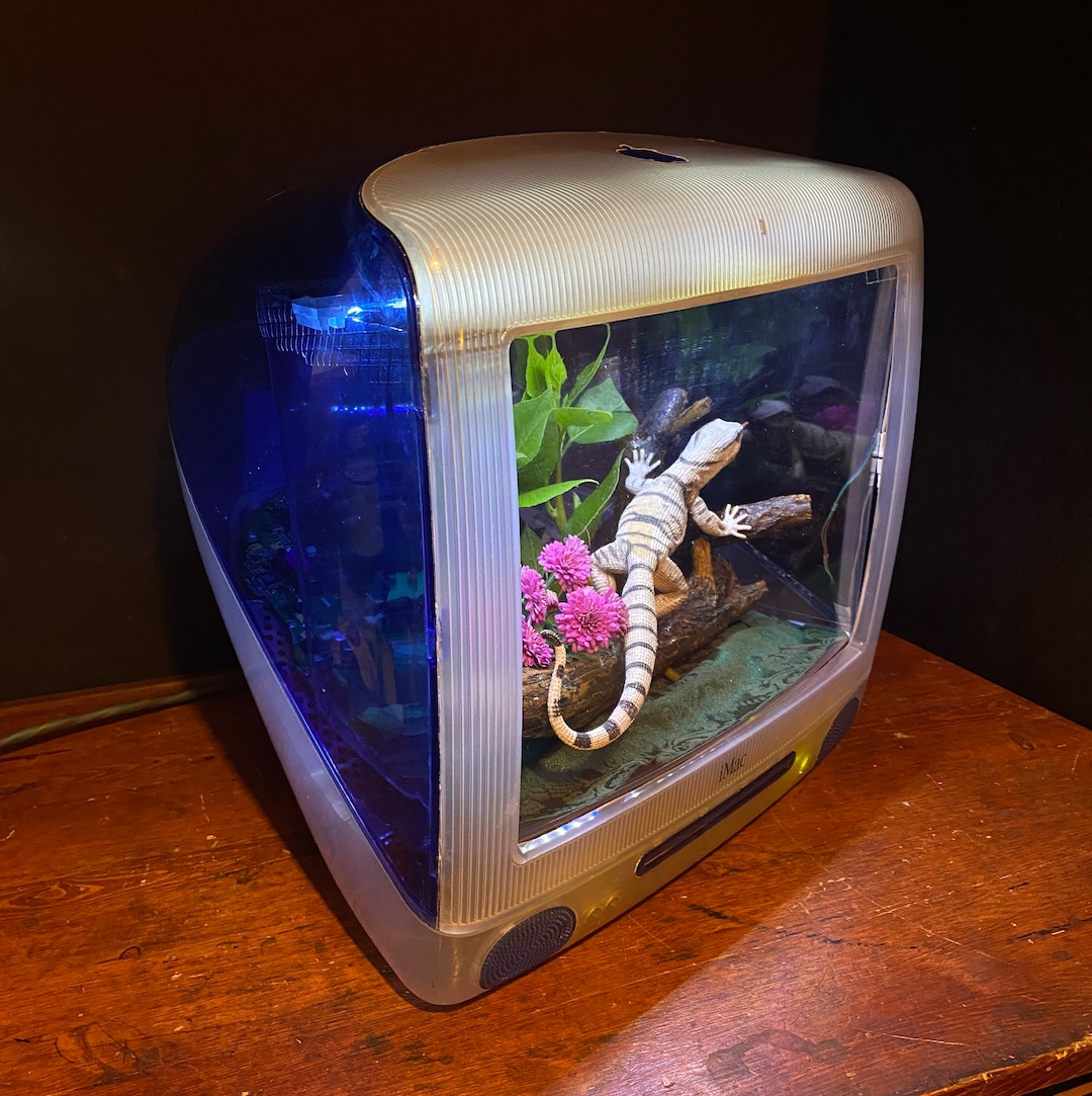 Multicolor Imac Terrarium RGB Remote Controlled Gecko Lizard Etsy