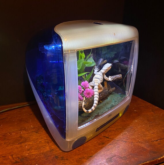 Wereldwijd Reizende handelaar Draai vast Multi-color iMac Terrarium RGB op afstand bedienbare Gecko - Etsy België