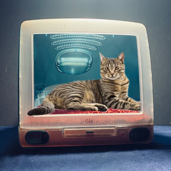imac cat bed