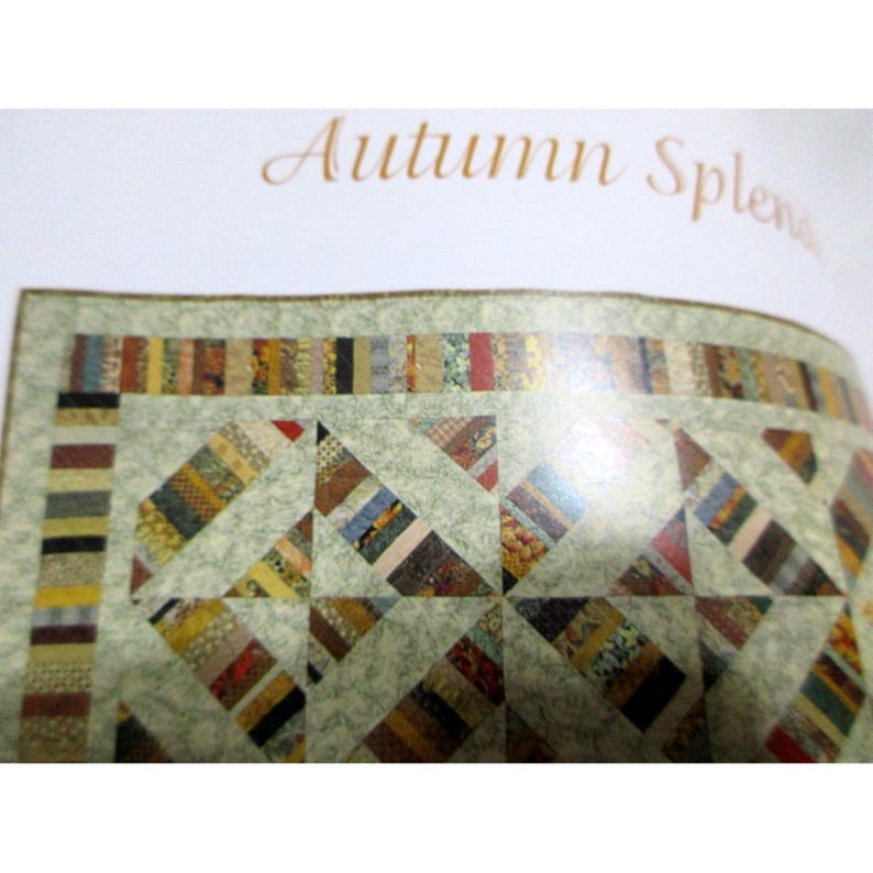 Fall String Quilts Strips & Strings:16 Sparkling Quilts - That Patchwork Place by Evelyn ...