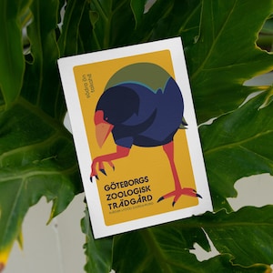 The "Surprise, We're Not Extinct" postcard set