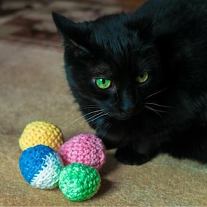 May include: A black cat with green eyes looks at four crocheted cat toys. The toys are in the colors yellow, pink, blue, and green.