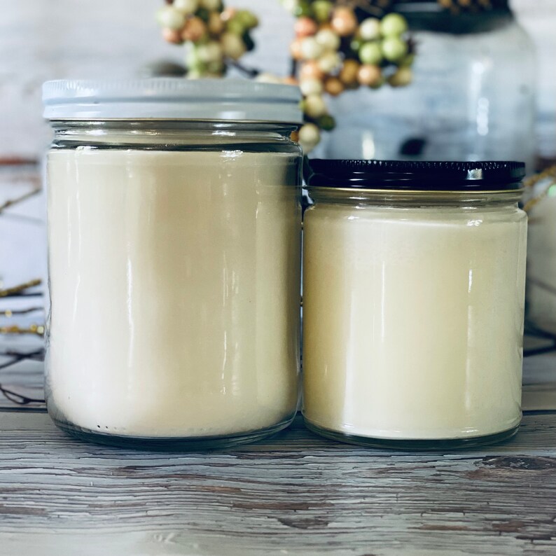 Disney Theme Park Inspired Soy Wax Candle Highly Fragrant Apple Orchard