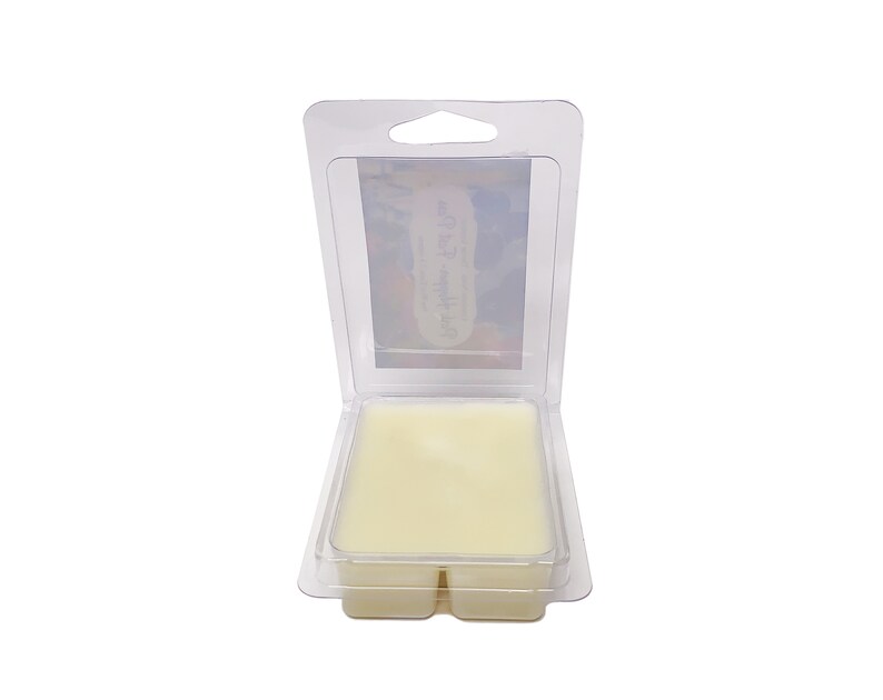 Big Top Concessions Disney Theme Park Inspired Wax Tarts