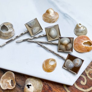 Seashell Bobby Pins - Beach Hair, Beach Accessories, Mermaid Hair, Beachy Hair Pin