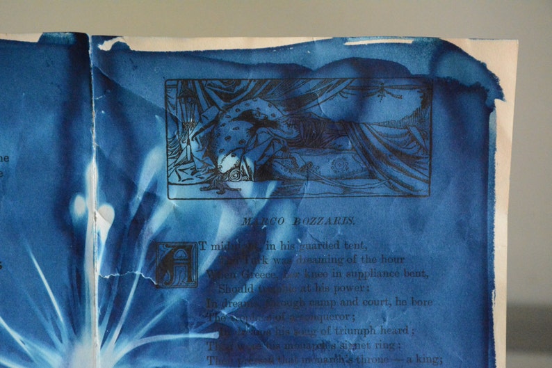Original Cyanotype on Antique Book Pages Bozzaris Bloom