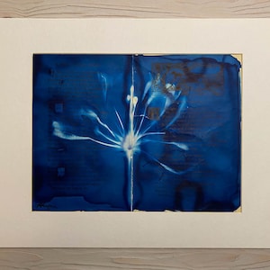 Bozzaris Blossom - Original Cyanotype on Antique Book Pages