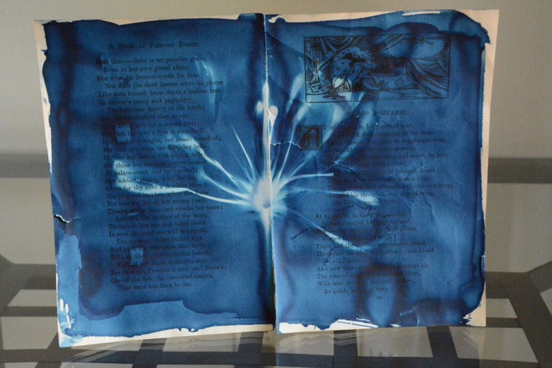 Original Cyanotype on Antique Book Pages Bozzaris Bloom
