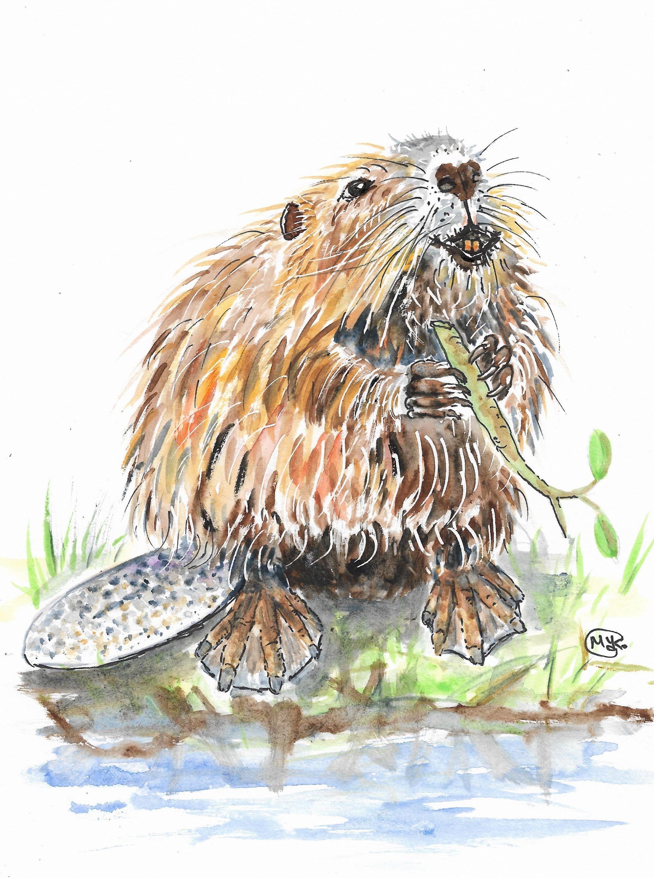 Original Baby Beaver Art Cute Animal Marjansart Beaver Etsy 日本