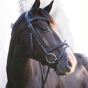 Anatomical Bridle with decorative details on Italian leather