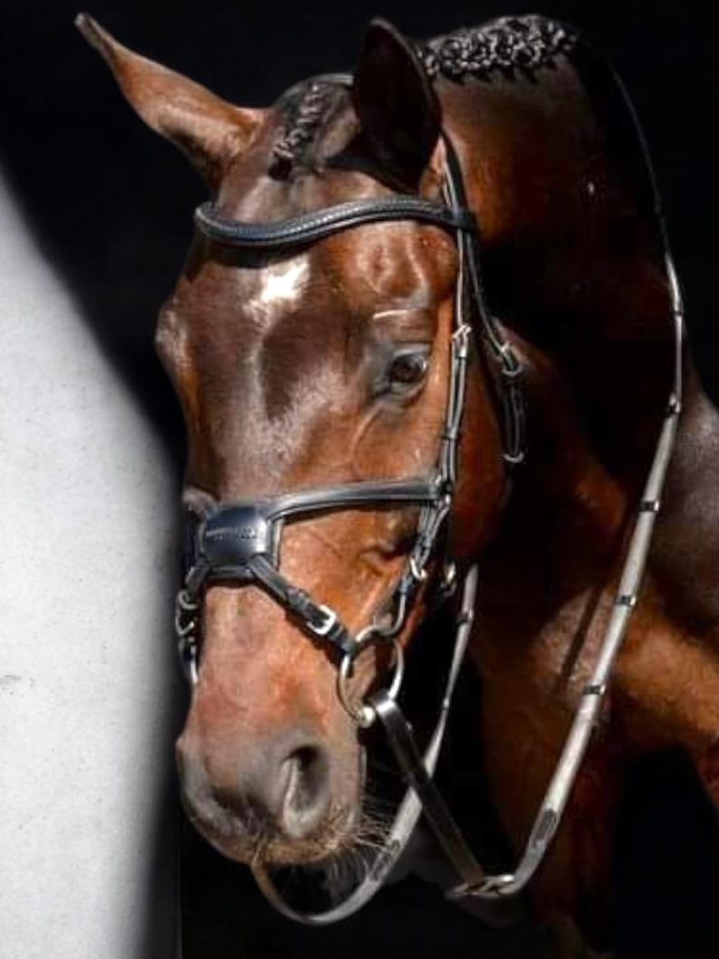 Anatomical Bridle - Verity Bit Lifter for Mouthy / Sensitive Horse ...