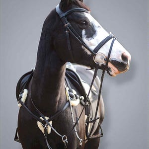 May include: A black horse with a white facial blaze wearing a black leather bridle and a black saddle with white fleece padding on the chest straps. The horse is positioned in profile, showing the head, neck, and front portion of the saddle gear.
