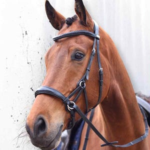 Cabezada anatómica de tiro lateral – Monta sin bocado, cuero italiano curtido natural,