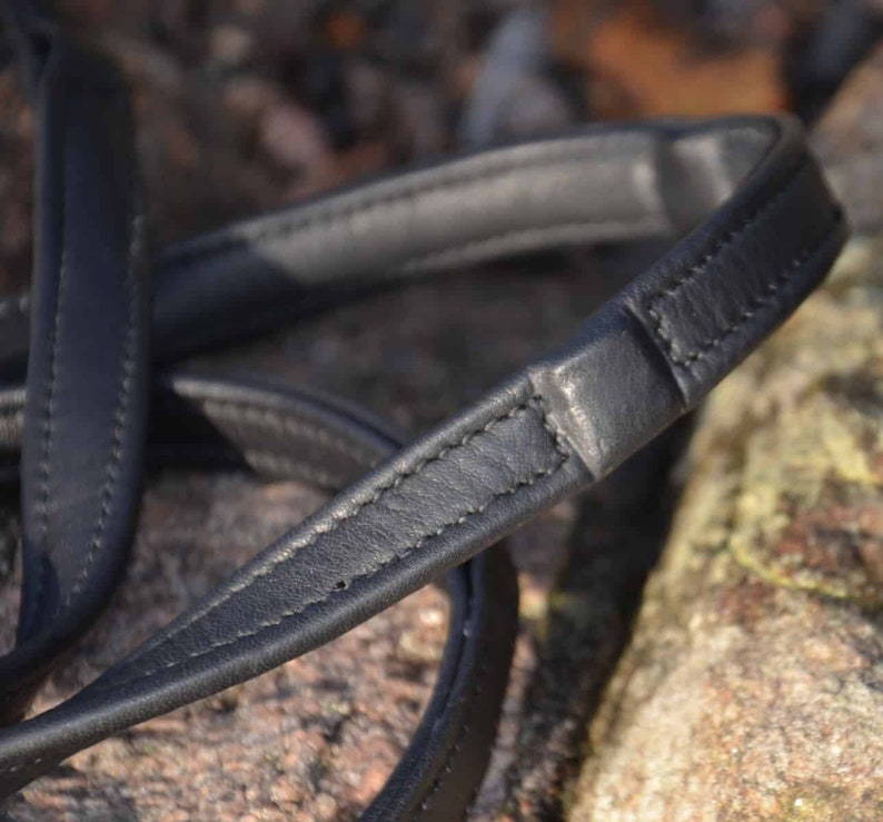 May include: Close-up of a black leather dog leash with a stitched seam. The leash is folded in half, showing the stitching detail.
