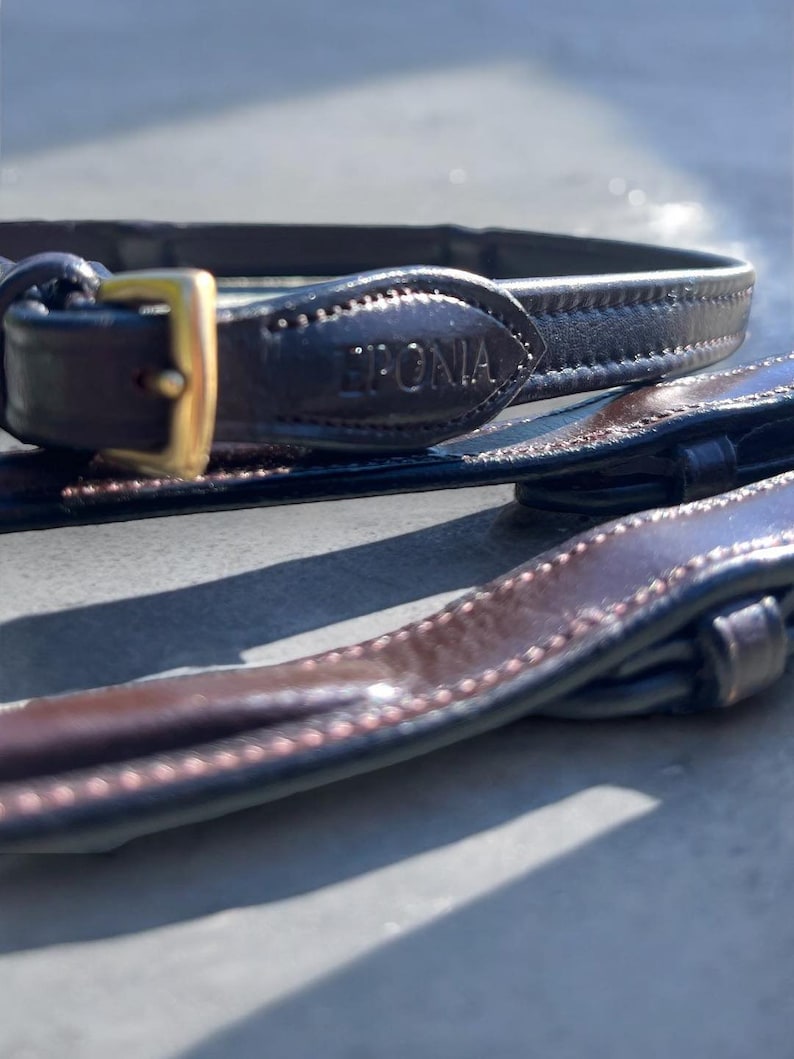 May include: A brown leather horse riding bridle with a gold buckle and the word "EPONIA" embossed on the strap.