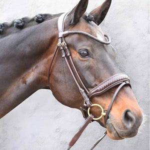 Puede incluir: Una brida de cuero marrón oscuro con muserola y frontalera trenzadas, hebillas de metal dorado y riendas de cuerda. La brida está colocada en un caballo castaño oscuro con crines trenzadas y una pequeña estrella blanca en la frente.