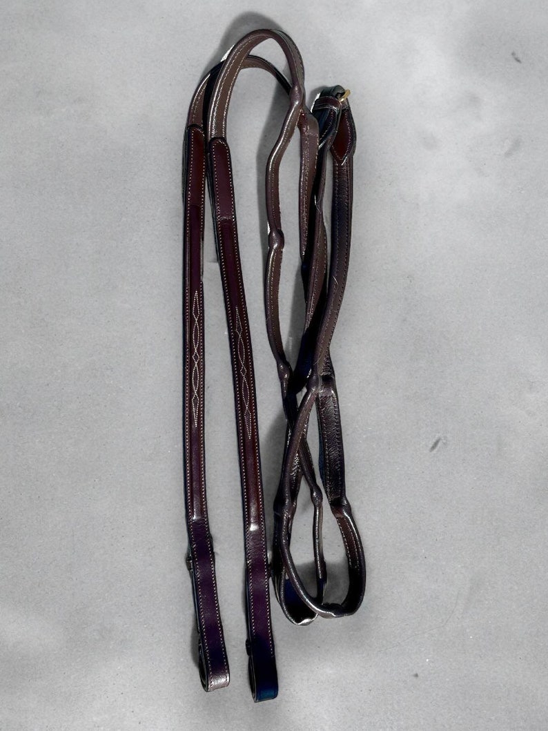 May include: A pair of brown leather reins with decorative stitching. The reins are folded in half and have a gold buckle.