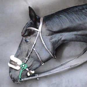 Hackamore bridle  with light weight aluminium shanks - Natural tanned leather
