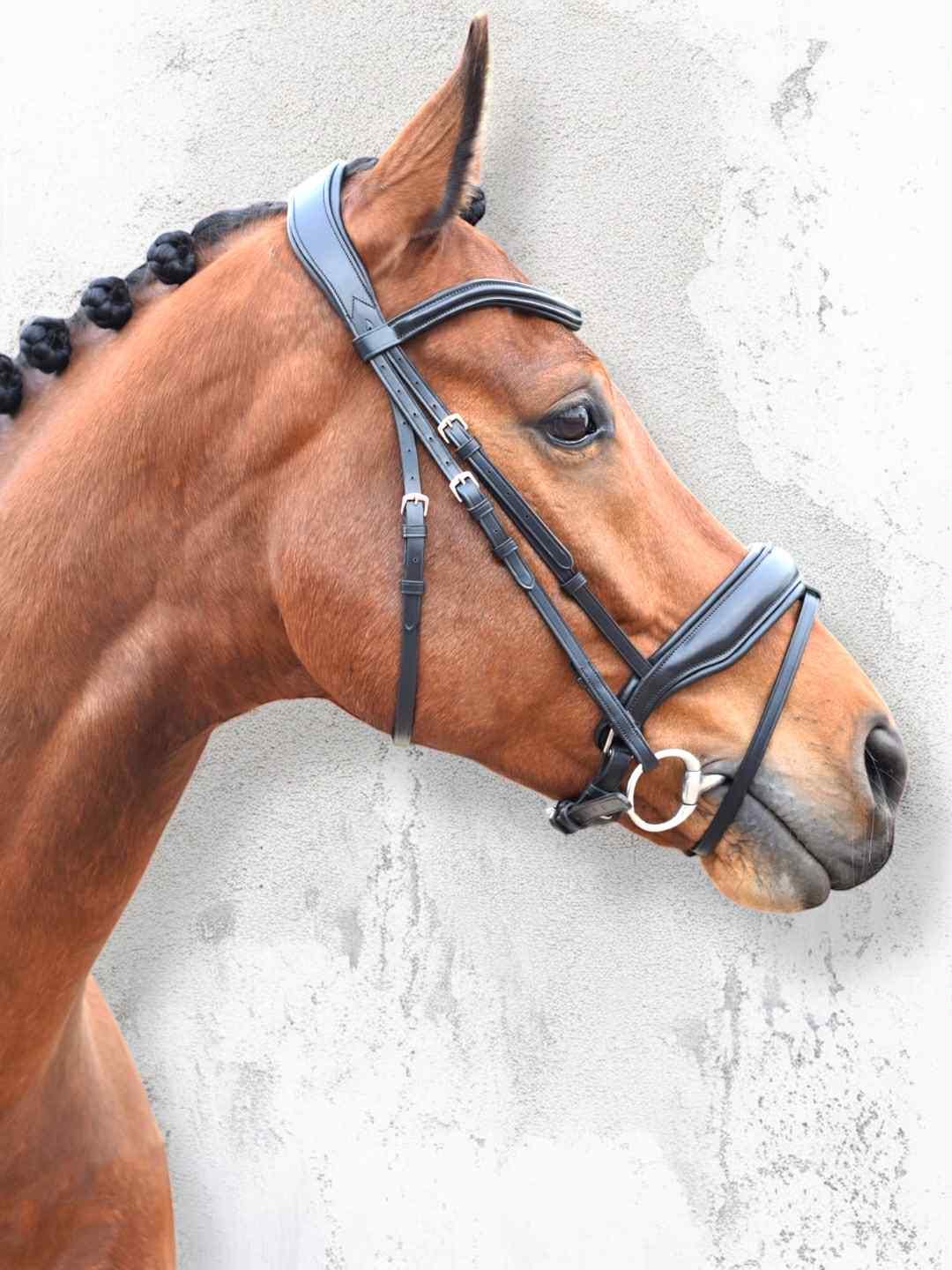 Copricapo Anatomico Show Bridle & Redini In Pelle Marrone Completo X-Full - Benz Equestrian
