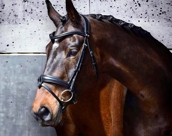 Anatomical Bridle - Natural tanned leather