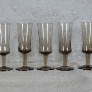 Set of 5  Shot Glasses  Vodka Glass,1970-s  Design Collectible Elegant Tableware