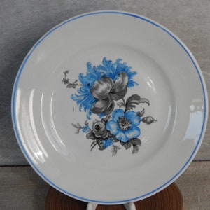 Riga Porcelain Factory Collectible Salad/ Dinner Pate  Vintage Plate,  era 1950 s. Tableware,   Latvia RPF