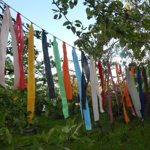 May include: A string of colorful fabric ribbons hanging from a tree branch. The ribbons are various shades of pink, red, orange, yellow, green, blue, and purple.