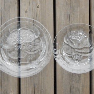Set of 2 Vintage Arabia of Finland Iittala Nuutajarvi Pioni / Peony Glass Plates One Dinner Plate and One Dessert Plate Oiva Toikka