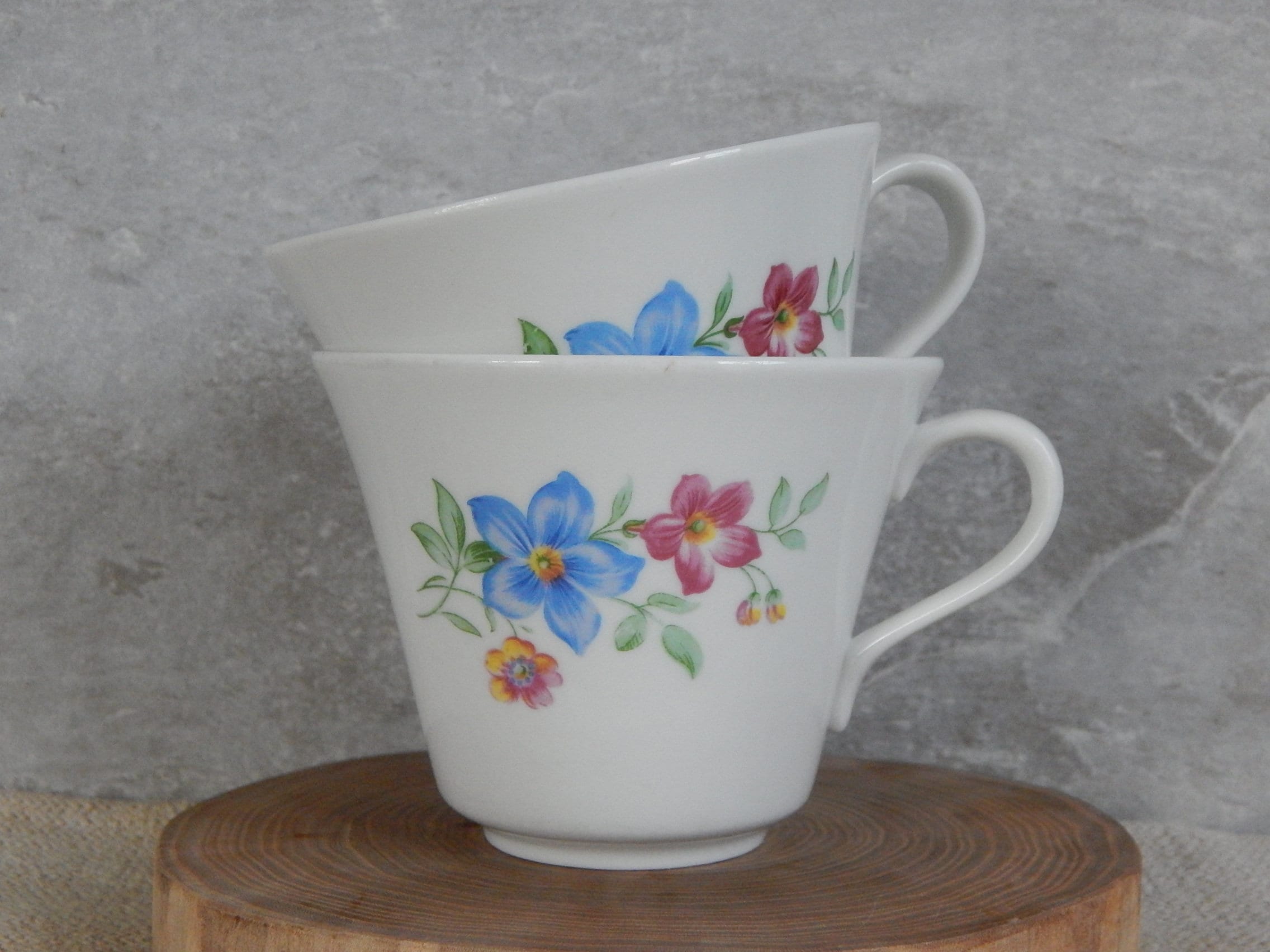 スェーデンロールストランドのテラリウム