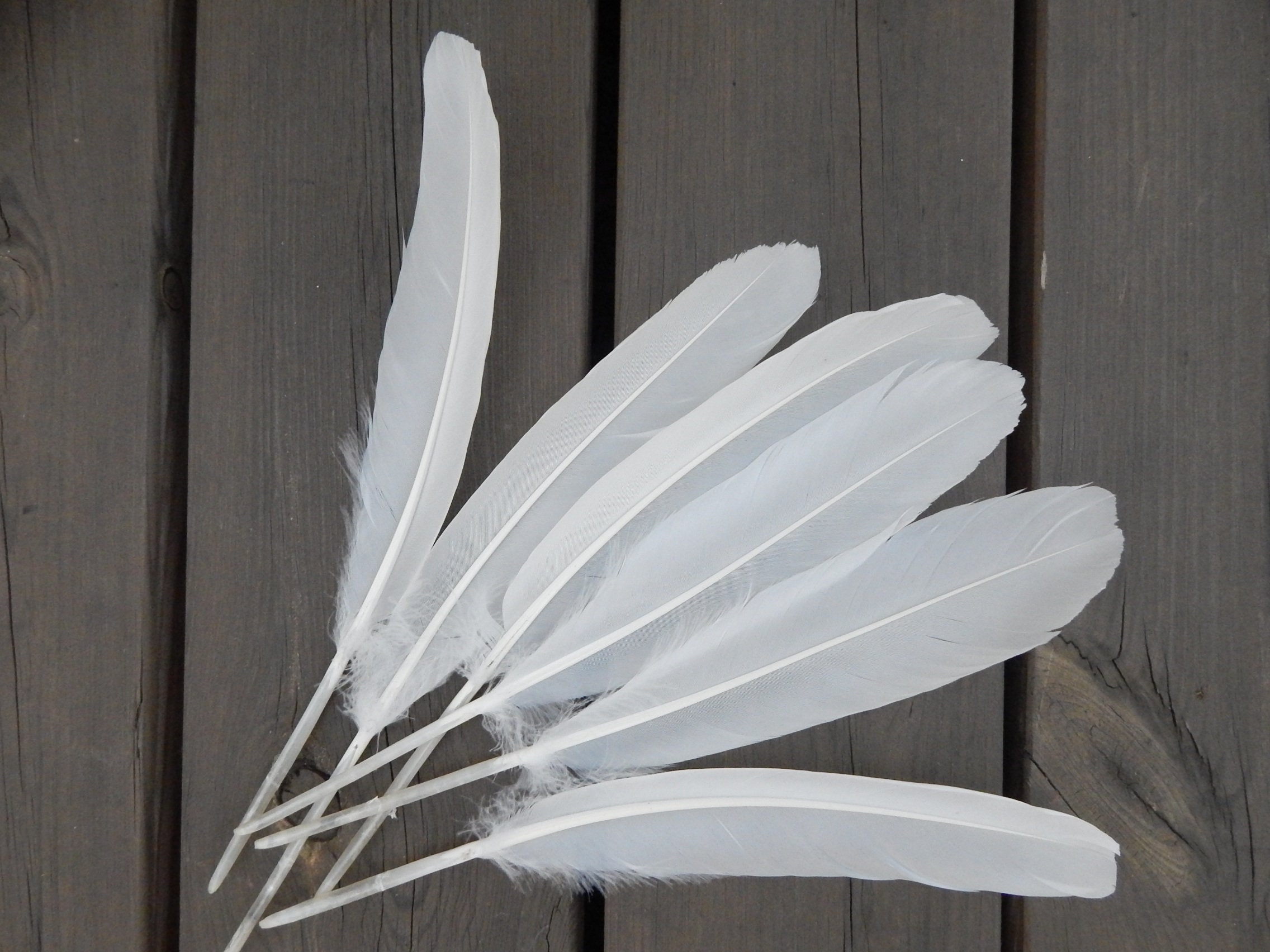 Plumes lumineuses guirlande mariage décoration de noël ange filles couronne  plume bandeau festival fête chapeaux bricolage-blanc : : Cuisine  et Maison