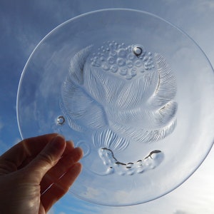 Arabia of Finland Salad/ Cake plate Iittala Nuutajarvi Pioni/ Peony Glass Plate - Oiva Toikka pressed Glass Plate Finland Glass