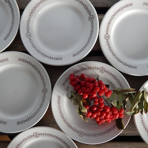 Set of 5 Vintage Dessert Plate 1970 s Tableware