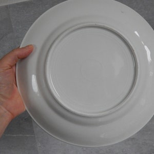 以下が含まれることがあります： わずかに盛り上がった縁のある白いセラミック製のディナー皿。皿はきれいで、マークやデザインはありません。
