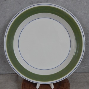 Puede incluir: Un plato de cena de cerámica blanca con un borde verde y azul. El plato tiene un diseño simple con una banda verde ancha y una línea azul fina.