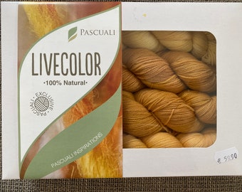 PASCUALI Live Color 4 x 50g Merino Baby Lace -hand-dyed