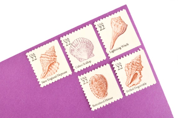 20 seashell postage stamps