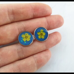 Stud earrings, Blue earrings with real dried flowers, Dried flower resin earrings