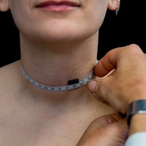 BDSM Collar metal women lockable image 15