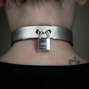 May include: A silver metal collar with a silver padlock. The padlock has the text "ABUS TITANIUM" on it.